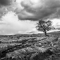 Buy canvas prints of Winskill Stones by Robert Geldard