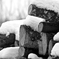 Buy canvas prints of Winter Logs by Robert Geldard