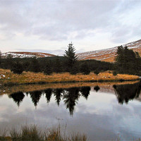 Buy canvas prints of Brecon Beacon reflection. by paulette hurley