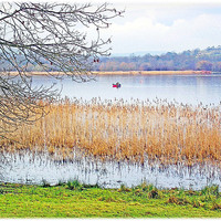 Buy canvas prints of Llangorse Lake(Llyn Syfaddon). by paulette hurley