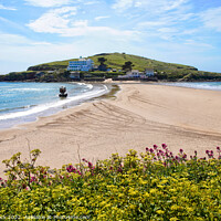 Buy canvas prints of Burgh Island by Gill Allcock