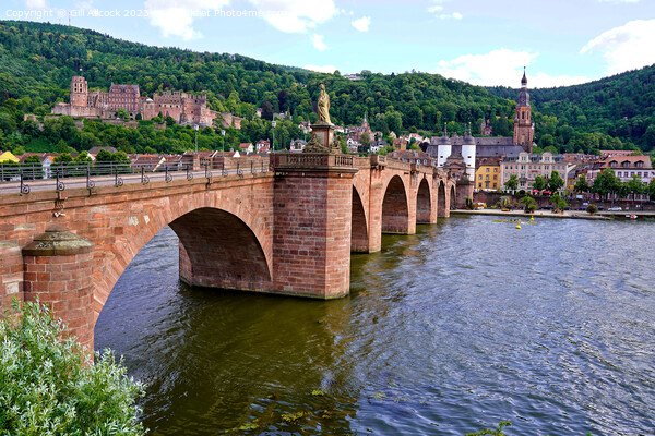 Heidelberg, Germany  Picture Board by Gill Allcock