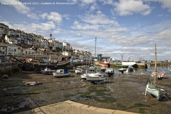 Brixham HarbourOutdoor  Picture Board by Gill Allcock