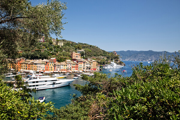Portofino, Italy Picture Board by Gill Allcock