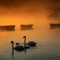Buy canvas prints of Maw, Paw and the bairns!! by David Mould