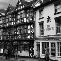 Buy canvas prints of The Feathers hotel Ludlow by Peter Elliott 