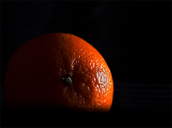 Orange in shadow Picture Board by Peter Elliott 