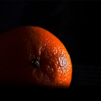 Buy canvas prints of Orange in shadow by Peter Elliott 