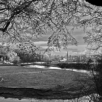 Buy canvas prints of  River Wharfe at Bolton Abbey by Peter Elliott 