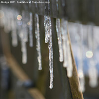 Buy canvas prints of Icicles by Thomas Mudge