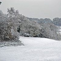 Buy canvas prints of Rosebowl Golf Course in Winter by Donna Collett