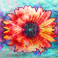 Buy canvas prints of Flowering Sunrise by Ian Jeffrey
