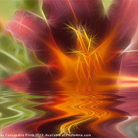 Buy canvas prints of Reflective Flora by Ian Jeffrey