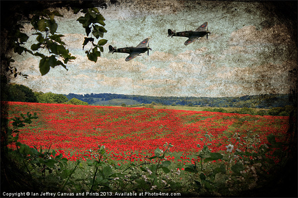 Over The Poppy Field Picture Board by Ian Jeffrey