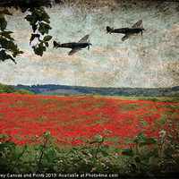 Buy canvas prints of Over The Poppy Field by Ian Jeffrey