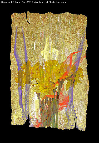 Daffodil Art Picture Board by Ian Jeffrey