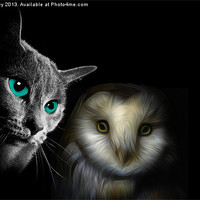 Buy canvas prints of The Owl and the Pussycat by Ian Jeffrey