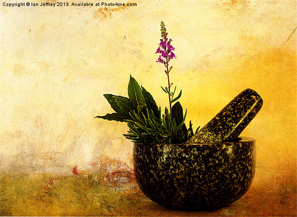 Herbs Picture Board by Ian Jeffrey