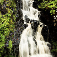 Buy canvas prints of Dunvegan Castle Waterfall by Ian Jeffrey