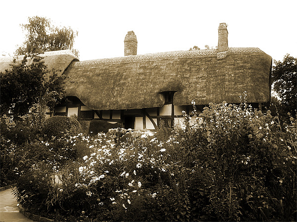 Cottage (Sepia) Picture Board by Ian Jeffrey