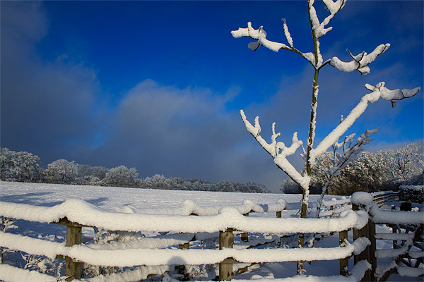 Winters Day Picture Board by Ian Jeffrey