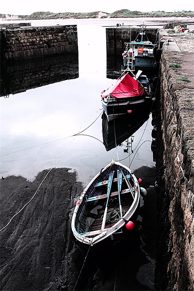 Beadnell Harbour Picture Board by Ian Jeffrey