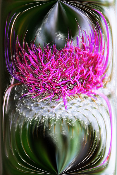 Thistle In Glass Picture Board by Ian Jeffrey