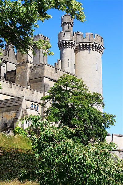 Arundel Castle and Grounds Picture Board by Ian Jeffrey
