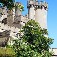 Buy canvas prints of Arundel Castle and Grounds by Ian Jeffrey