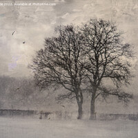 Buy canvas prints of Kent Snowy Landscape by Dawn Cox