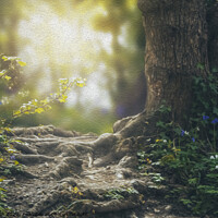 Buy canvas prints of Magical woodland by Dawn Cox