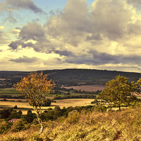 Buy canvas prints of View over the North Downs by Dawn Cox