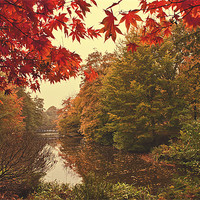 Buy canvas prints of Autumn landscape by Dawn Cox