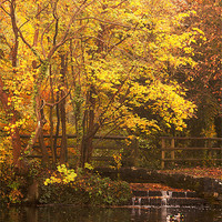Buy canvas prints of Autumn on the Lakes by Dawn Cox