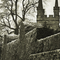Buy canvas prints of View of Penshurst Church by Dawn Cox