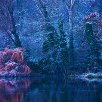 Buy canvas prints of Mystic Lake by Dawn Cox