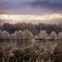 Buy canvas prints of Cold December frost by Dawn Cox