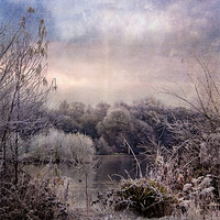 Buy canvas prints of Wonderful Winterland by Dawn Cox