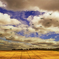 Buy canvas prints of Flying over golden fields by Dawn Cox