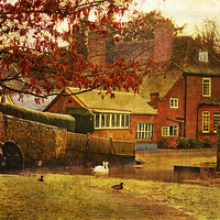 Buy canvas prints of Eynsford Village, Kent by Dawn Cox