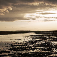Buy canvas prints of Low tide at camber sands by Dawn Cox