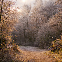 Buy canvas prints of A Fine Winters morning by Dawn Cox