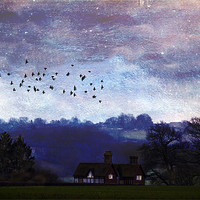 Buy canvas prints of Home to Roost by Dawn Cox