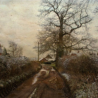 Buy canvas prints of A  Kent country lane by Dawn Cox