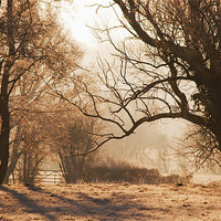Buy canvas prints of Kent countryside by Dawn Cox