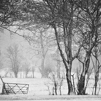 Buy canvas prints of In the Bleak Midwinter by Dawn Cox