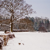 Buy canvas prints of Snow covered Kent countryside by Dawn Cox