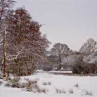 Buy canvas prints of Winter wonderland by Dawn Cox