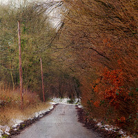 Buy canvas prints of A Country lane by Dawn Cox