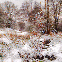 Buy canvas prints of snowfall in kent by Dawn Cox